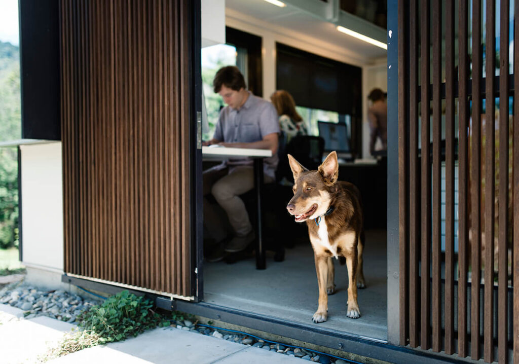 Bligh Graham Architects team